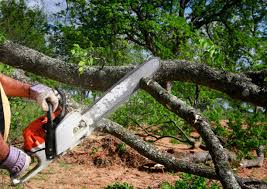 Best Leaf Removal  in Bryant, AR